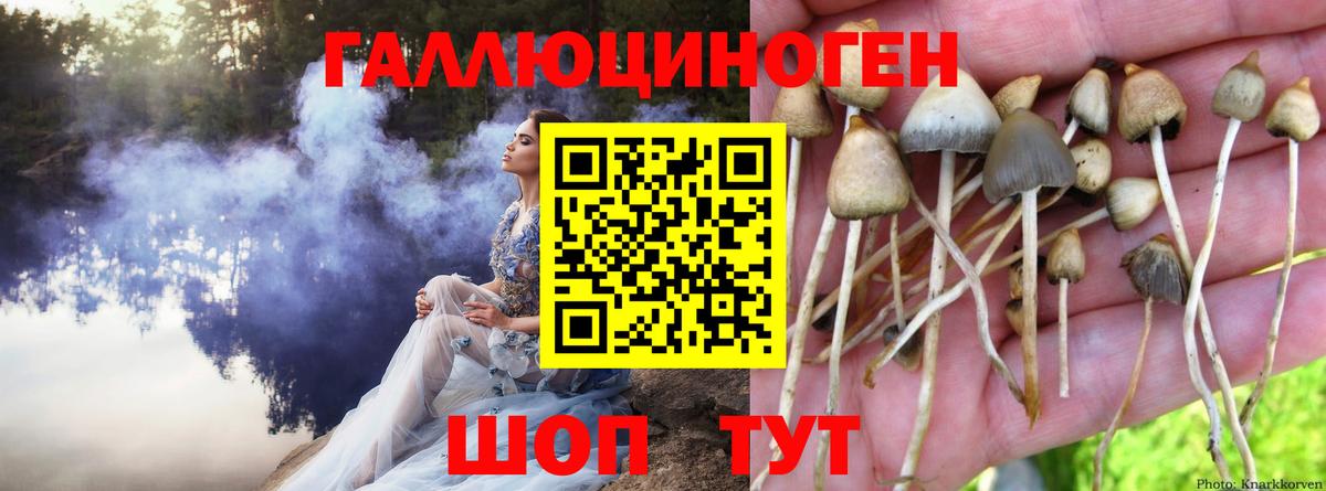 купить   Вход с VPN  Люберцы  Галлюциногенные грибы ЛСД 